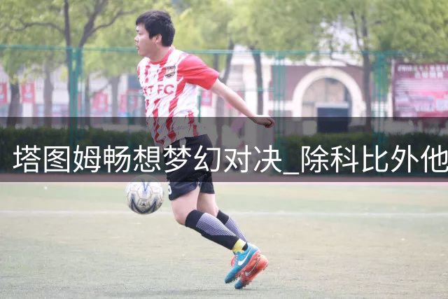 塔图姆畅想梦幻对决 除科比外他首选伯德